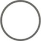 Dichtring - 0510218