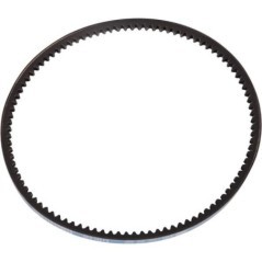 06330162 Goldoni, Fan belts 