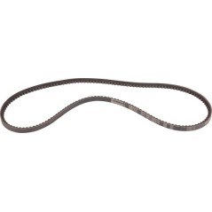 06330097 Goldoni, Fan belts 