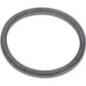 Quadring 31,42x2 - 06340411 Quadring 31,42x2 - 06340411