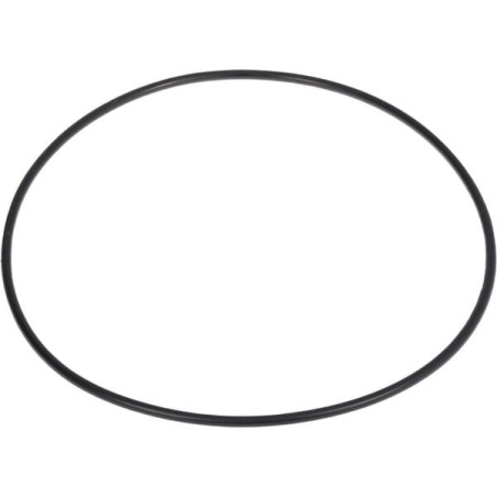O-ring - 0700012135