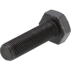 Hexagon bolt - 06209713