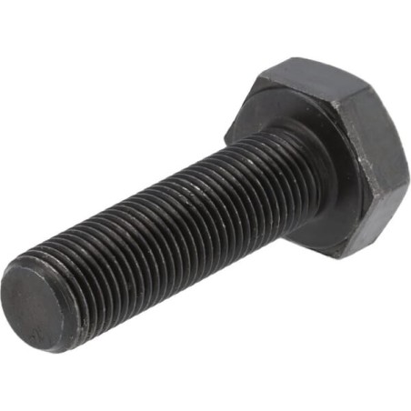 Hexagon bolt - 06209713