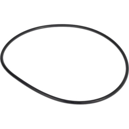 O-Ring - 0700015200