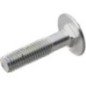 Special screw - 060312501