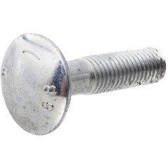 Special screw - 060312501