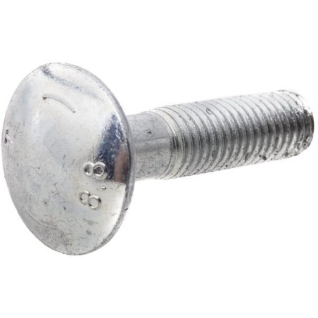 Special screw - 060312501