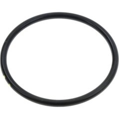 O-Ring - 0700225234