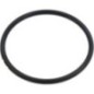 O-Ring - 0700225234