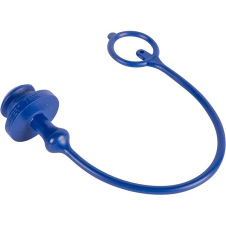 Dust cap blue 1/2 inch - 06340218