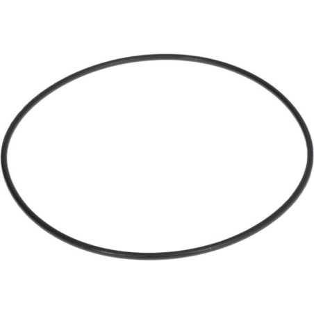 O-ring - 0700012125