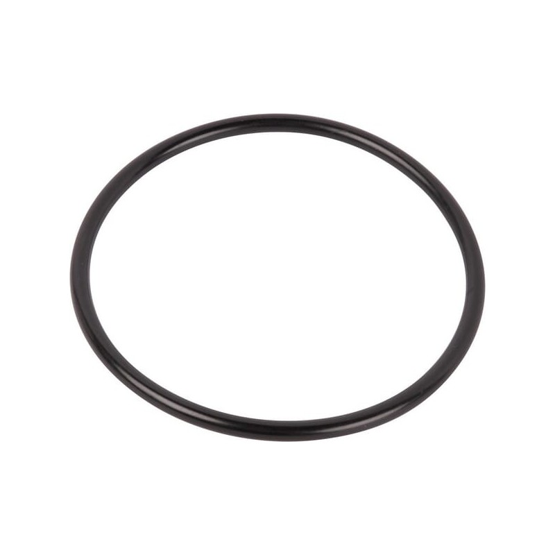 O-ring - 0634303849