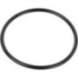 O-ring - 0634303849