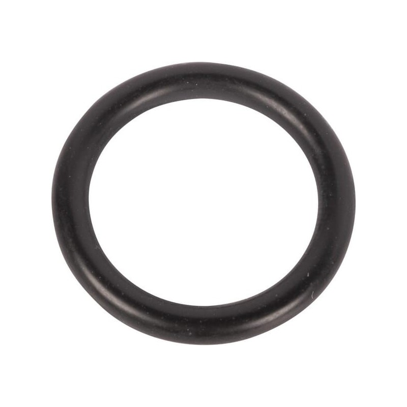 O-ring - 0634304022