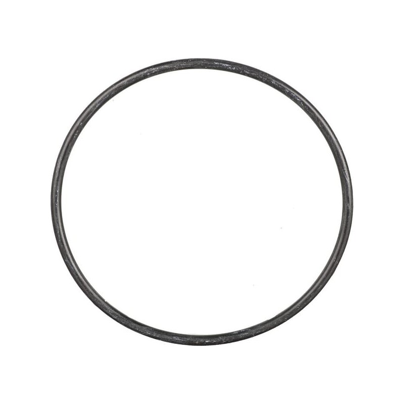 O-ring - 0634306164