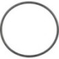 O-ring - 0634306164