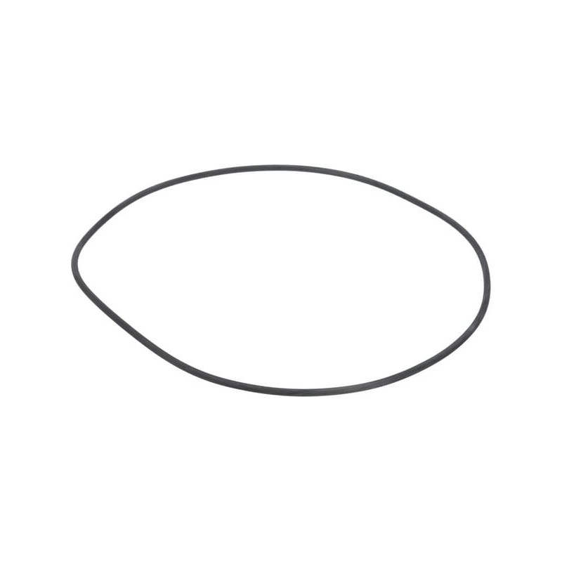 O-ring - 0634303980