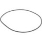 O-ring - 0634303980
