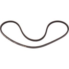 06330003 Goldoni, Fan belts 