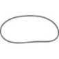 O-ring - 0734317100 O-ring - 0734317100