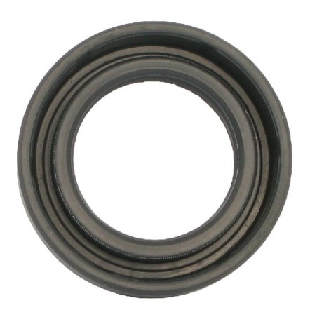 Seal ring ZF - 0734309047