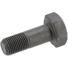 Hexagon screw - 0736020084