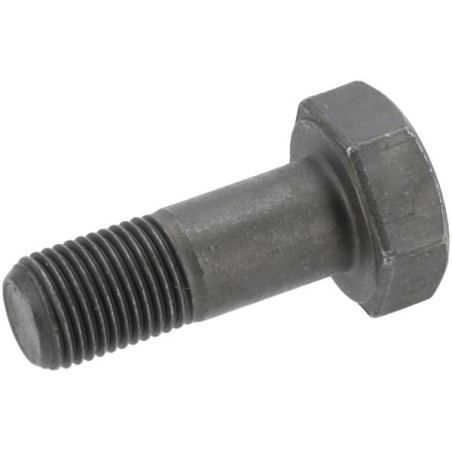 Hexagon screw - 0736020084