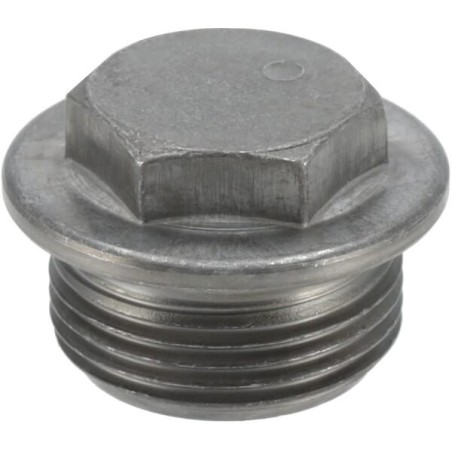 Screw plug - 0736304017
