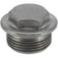 Screw plug - 0736304017