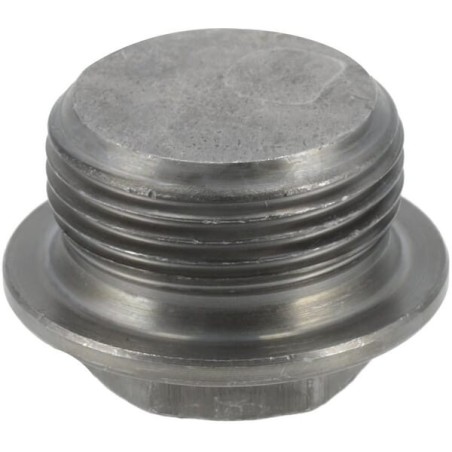 Screw plug - 0736304017