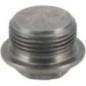Screw plug - 0736304017