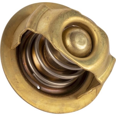 Thermostats – produkty dostępne w rolniczeczesci.pl
