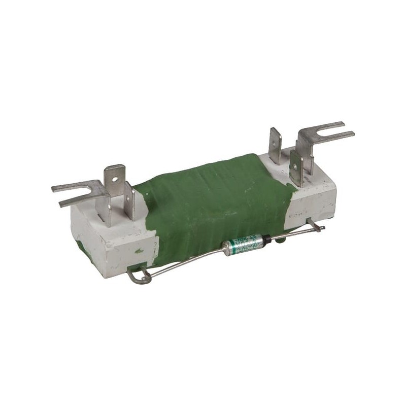 Resistor - 090012817
