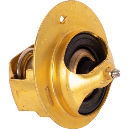 Termostat - 090078621