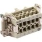 Socket insert E 10P screw - 09330102701