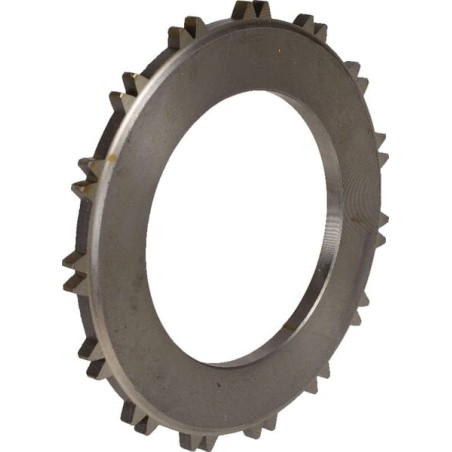 Bremsplatte - 090001160