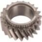 Gear - 090002847 Gear - 090002847