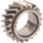 Zahnrad - 090002847