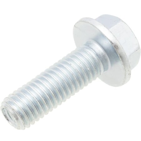 Collar screw M10x30 - 0901643100