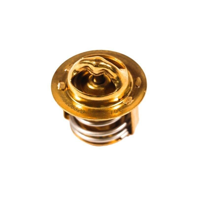 Thermostat - 145206320