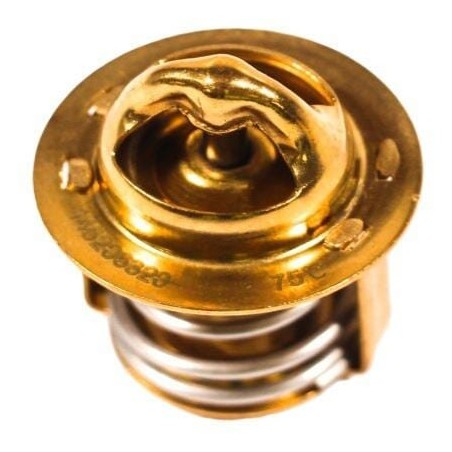 Thermostat - 145206320