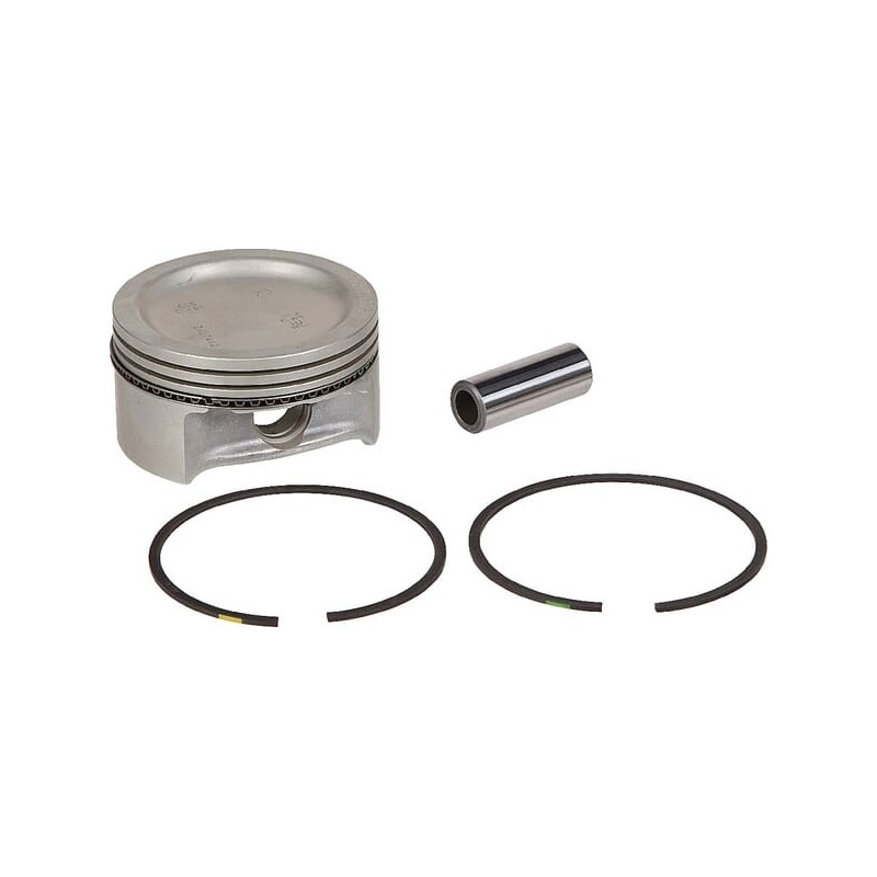 Piston kit std style B - 2487454SWX