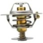 Thermostat - 2485C047
