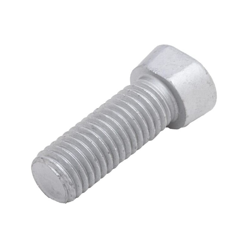 M12x40 Bolt Rabe - 27004114