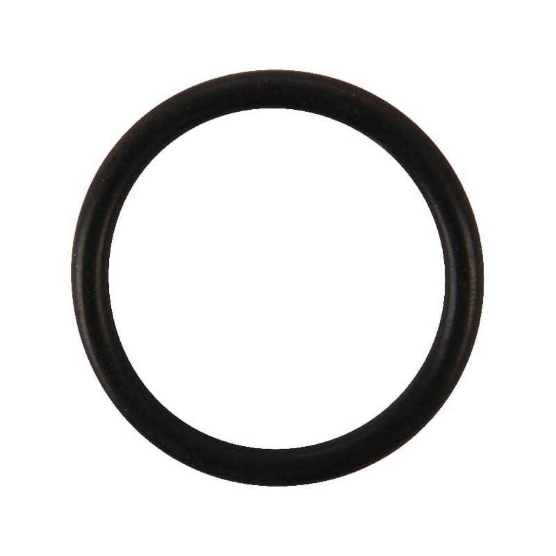 O-Ring - 34044118
