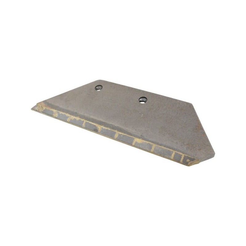 Share LH carbide - 41659460109CN