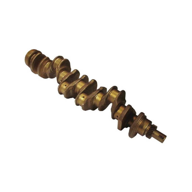 Kurbelwelle - 504203869FPT Kurbelwelle - 504203869FPT