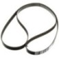 V-belt - 504380539FPT V-belt - 504380539FPT