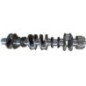 Crankshaft - 504379916FPT Crankshaft - 504379916FPT