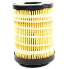 5698037 Perkins, Filters 